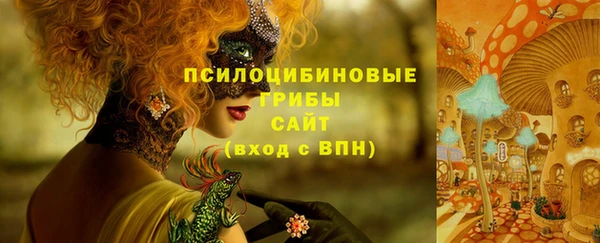 прущий лед Кукмор